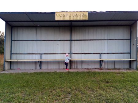 16 000 wyświetleń strony w styczniu!