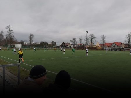 Sokół rozbił się o Dąb