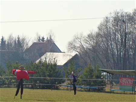 Wróble w „bocianim gnieździe”