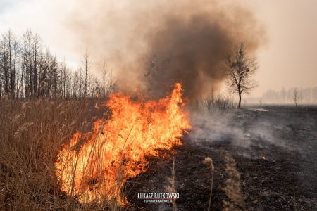 Kluby wspierają walkę z pożarem Biebrzańskiego Parku Narodowego