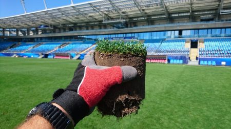 Badanie gleby – podstawa w pielęgnacji muraw sportowych [ZAMÓW BEZPŁATNE BADANIE]