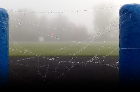 Co dalej z rozgrywkami? Decyzja dopiero w maju